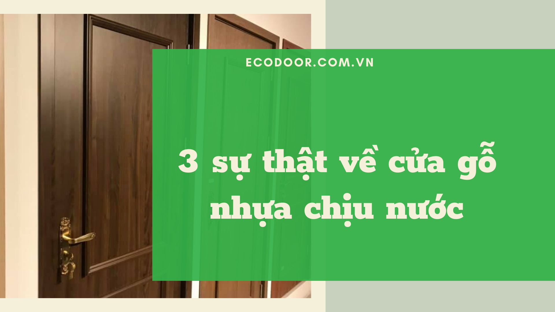 Cửa gỗ nhựa chịu nước Ecodoor 